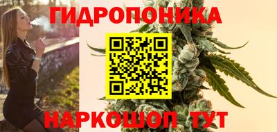 гашик Ярославль