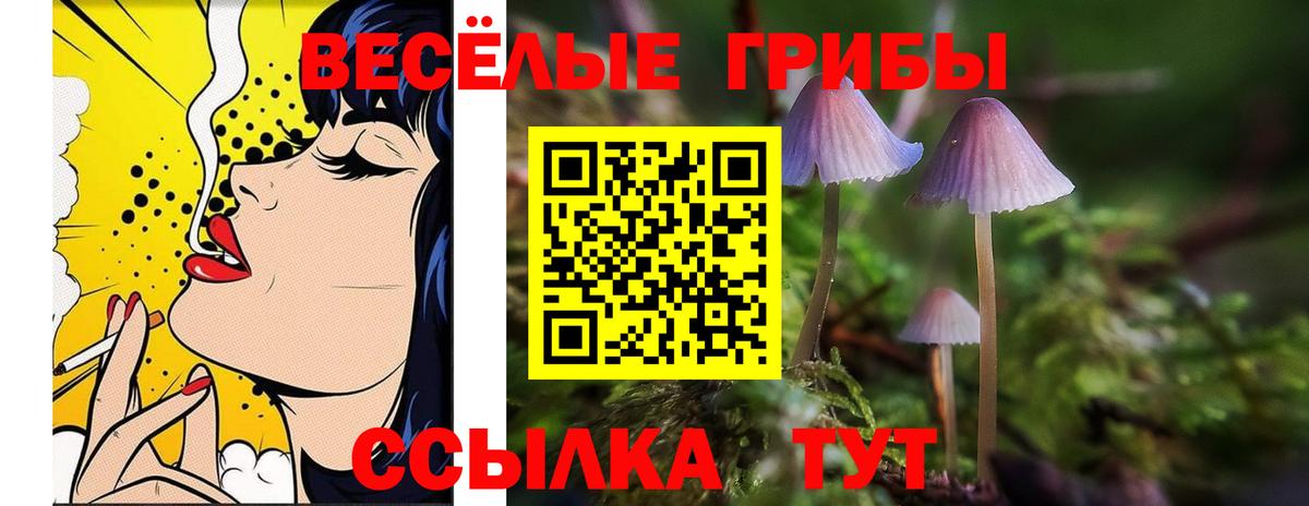 Галлюциногенные грибы прущие грибы  Псилоцибиновые грибы ЛСД  Реж  Вход с VPN 