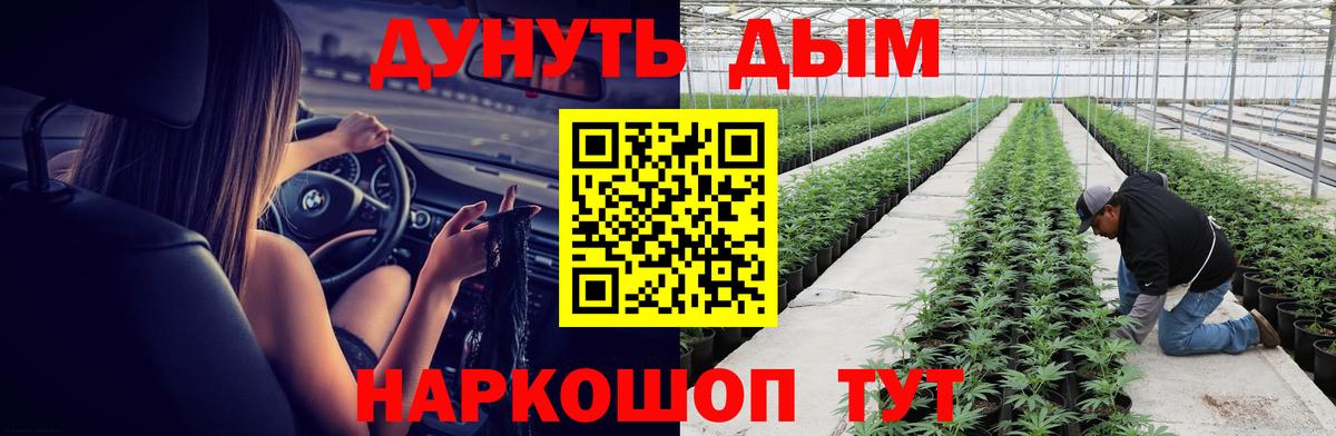 Бошки марихуана планчик  Каннабис сатива  Каннабис Amnesia  МАРИХУАНА MAZAR  Реж  Вход с VPN 